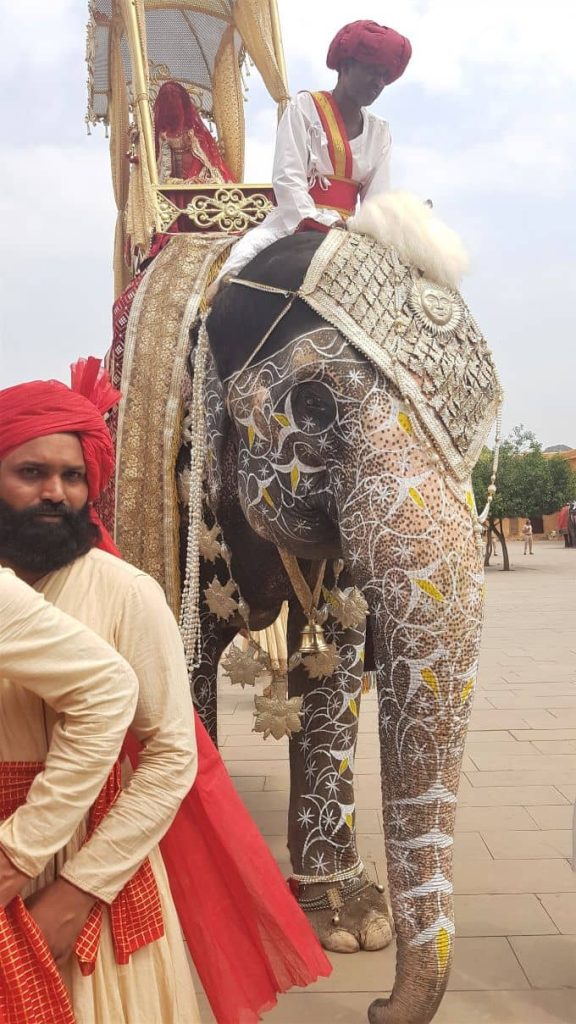 individualreise-indien-elefant-mit-prinzessin-traveliterra