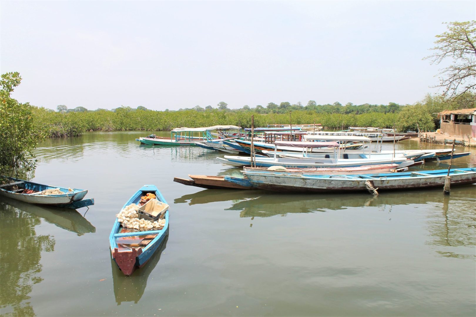 Individualreisen-Afrika-Gambia-Boote